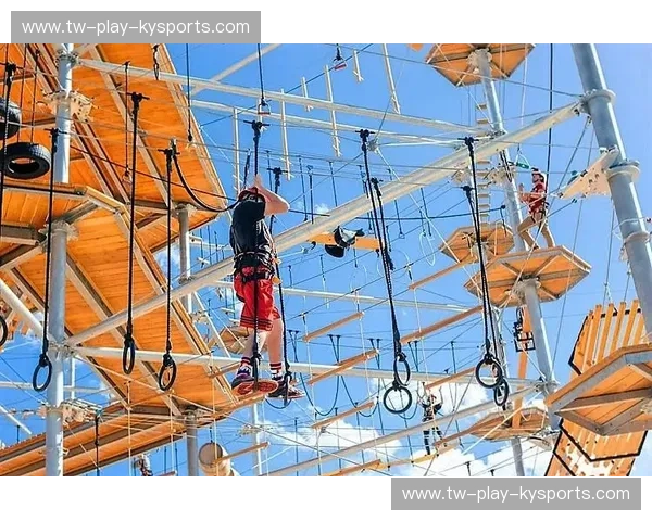 开云体育官网入口——畅享极致体育娱乐体验