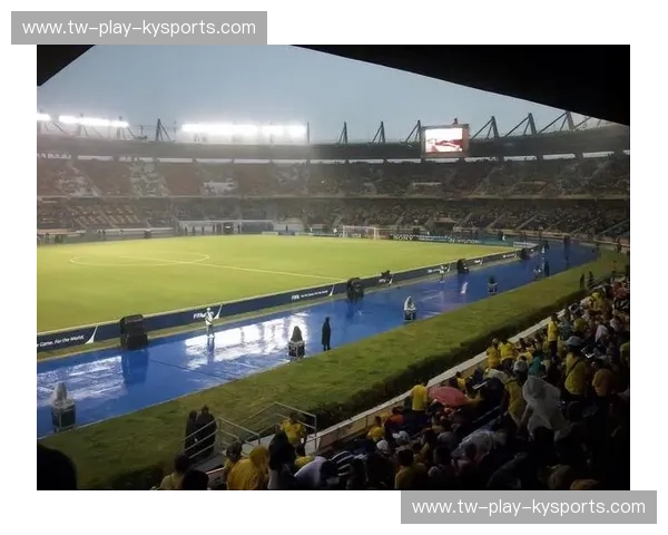 积分榜美洲杯：南美豪强角逐，荣耀谁主沉浮？